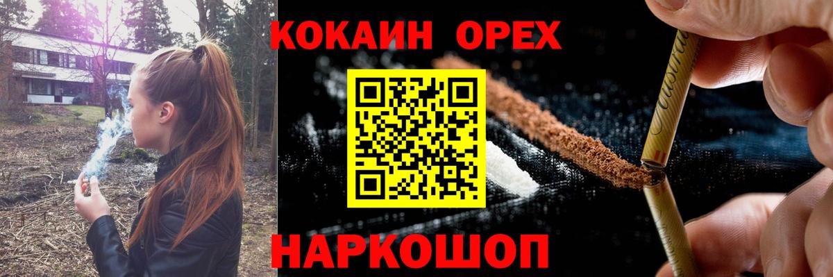 A PVP Долгопрудный