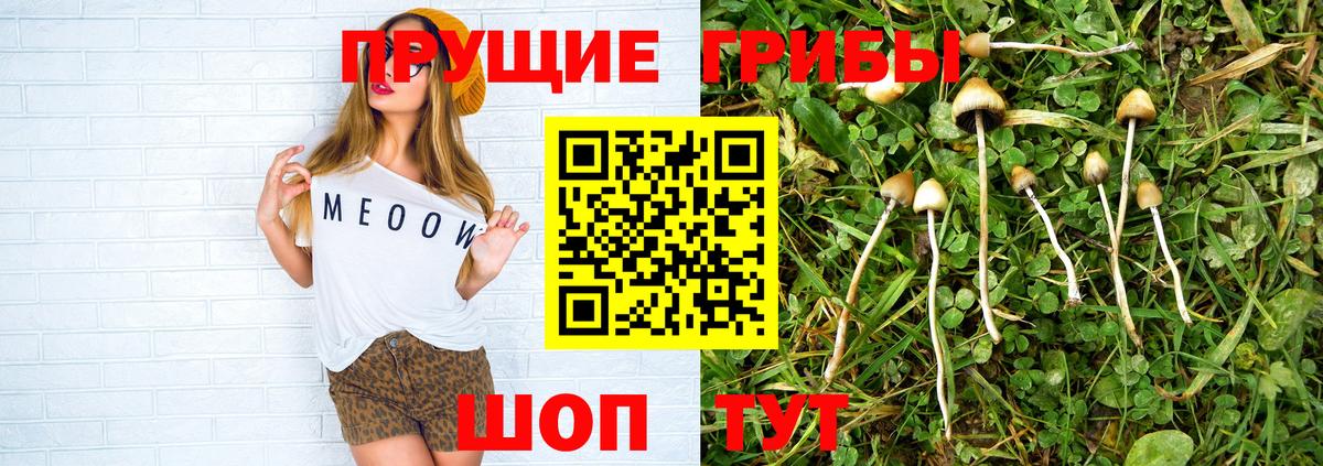 Галлюциногенные грибы ЛСД Долгопрудный